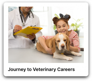 Journey to veterinary careers poster